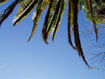 http://mihahome.de/Downloads/pscm00017.JPG